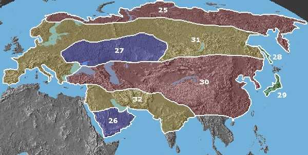Poddruhy vlka v Eurasii